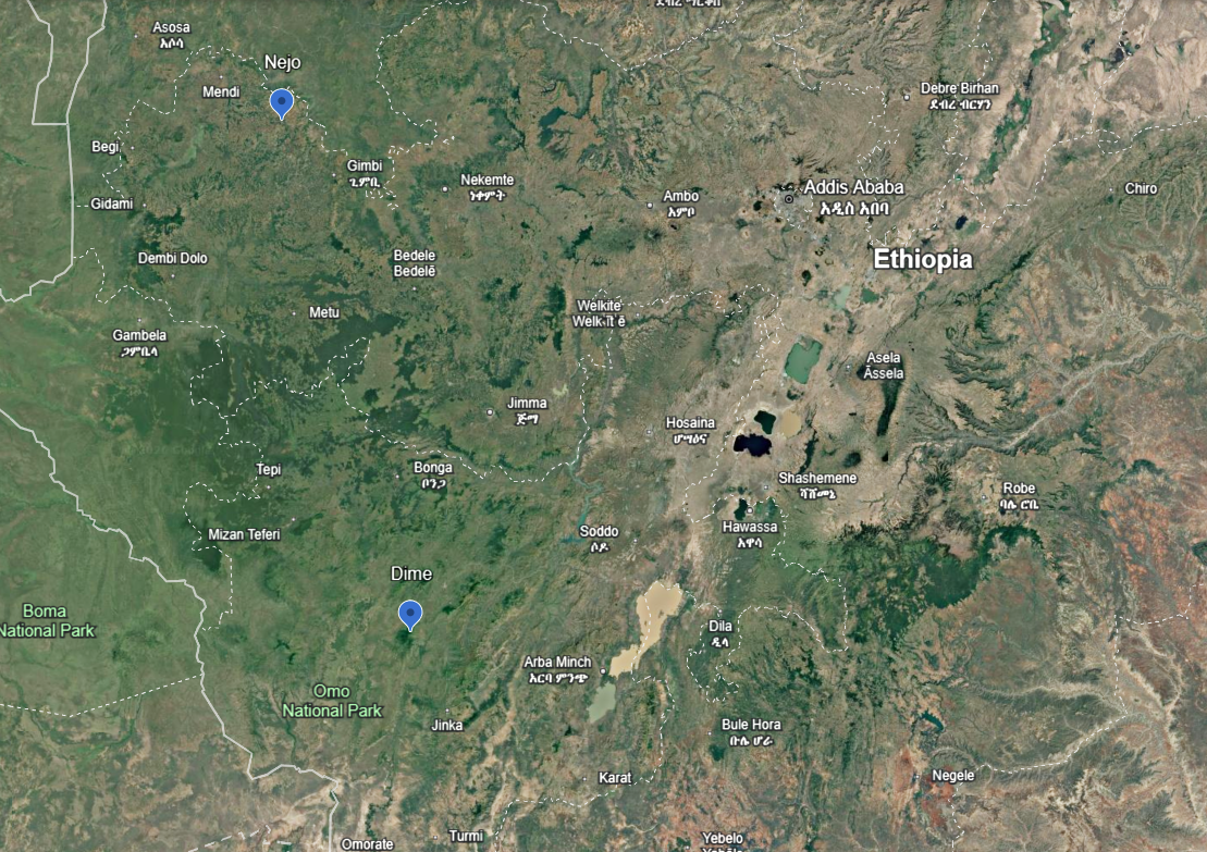 Satellite map of western Ethiopia showing Nejo in Wellega and Dime in South West Ethiopia